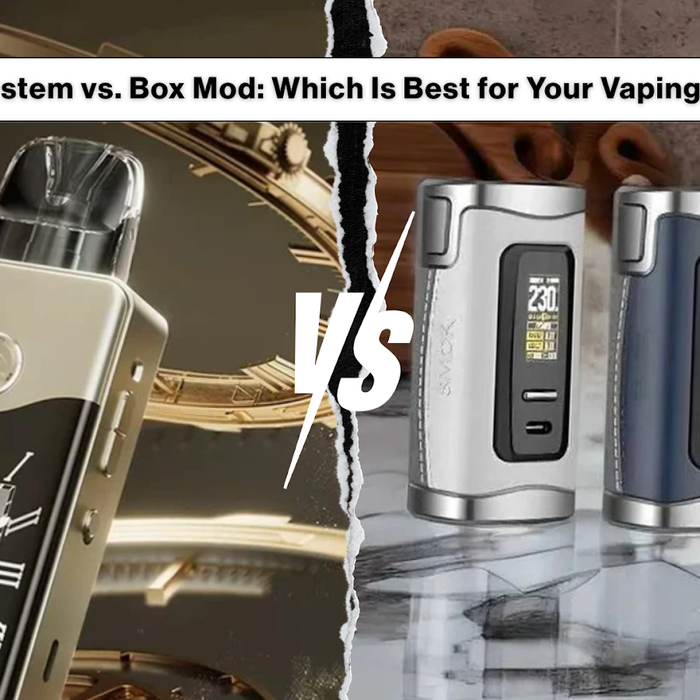Pod System vs. Box Mod: Which Is Best for Your Vaping Style?