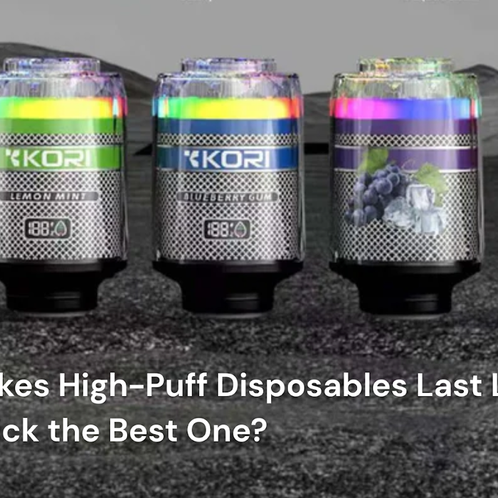 What Makes High-Puff Disposables Last Longer? How to Pick the Best One?
