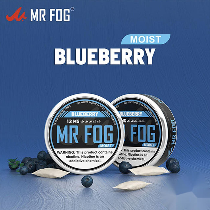 Moist Blueberry - Mr Fog Nicotine Pouches
