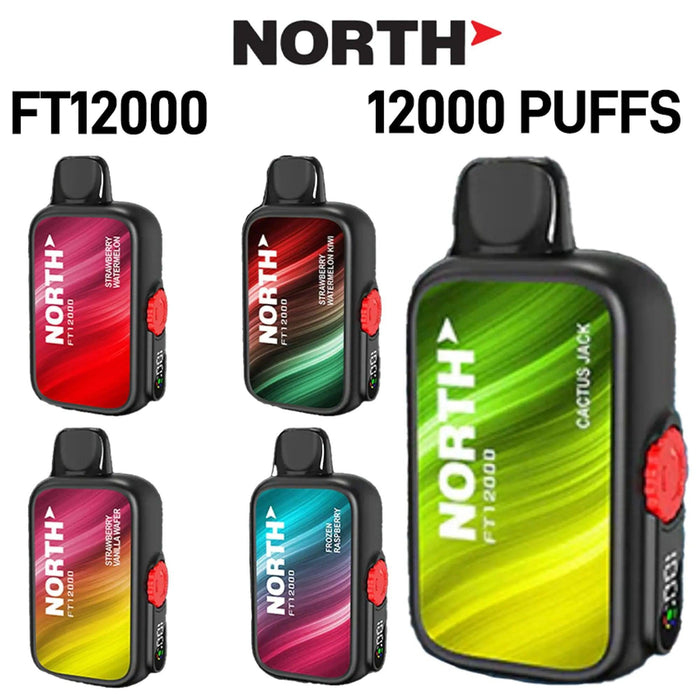 North FT12000 5% Nic Disposable