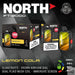 North FT12000 5% Nic Disposable