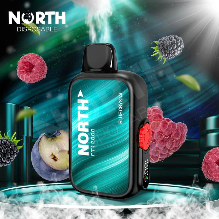 North FT12000 0% Nic Disposable