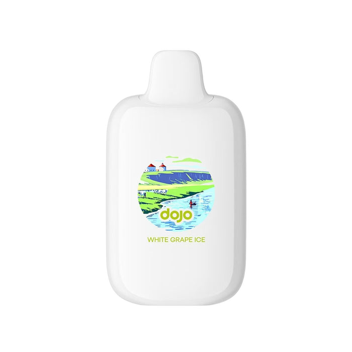 DOJO iMate X 20K Disposable by Vaporesso