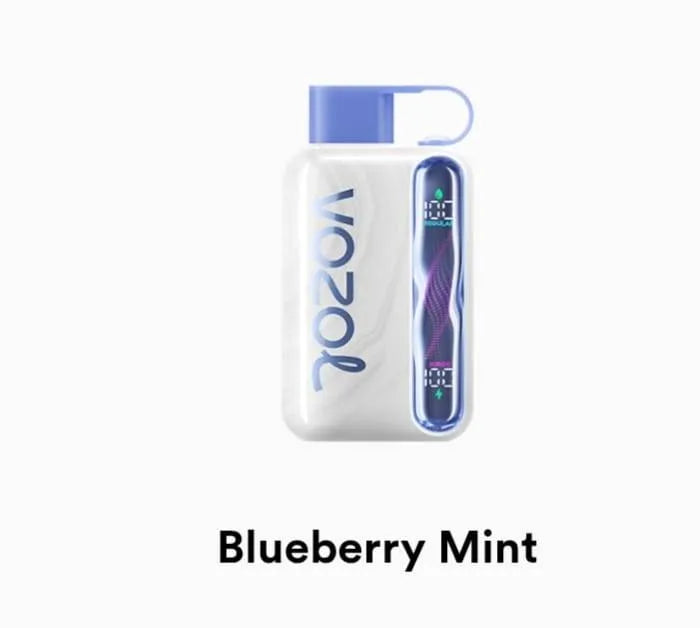 VOZOL Star 40000 Disposable