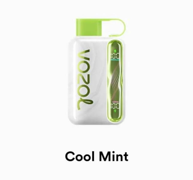 VOZOL Star 40000 Disposable