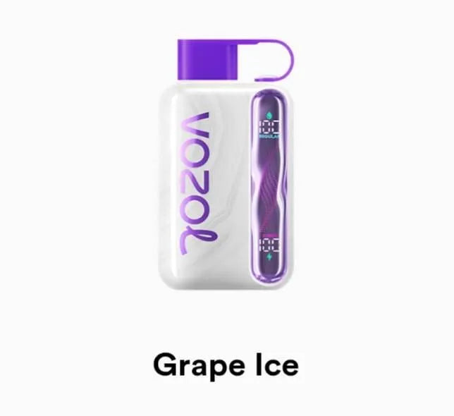 VOZOL Star 40000 Disposable