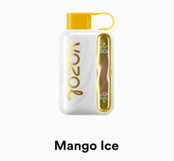 VOZOL Star 40000 Disposable