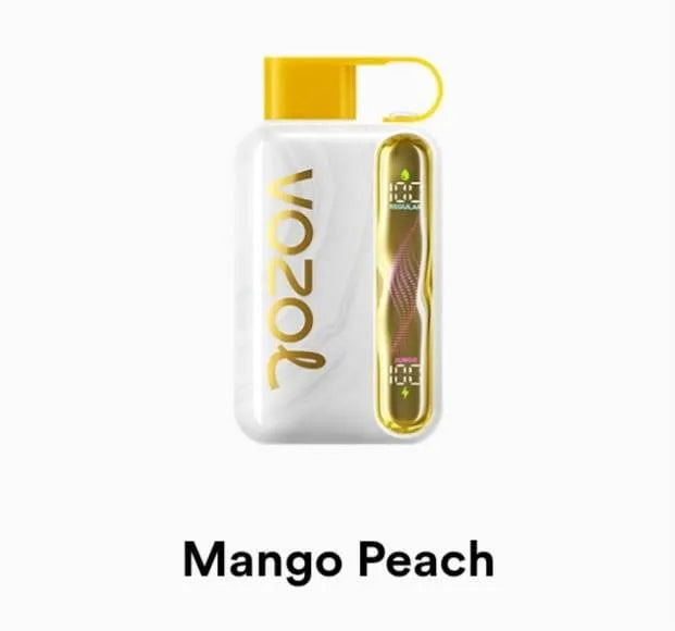 VOZOL Star 40000 Disposable