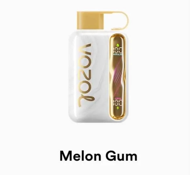 VOZOL Star 40000 Disposable