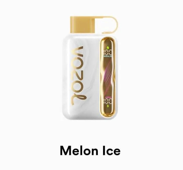 VOZOL Star 40000 Disposable