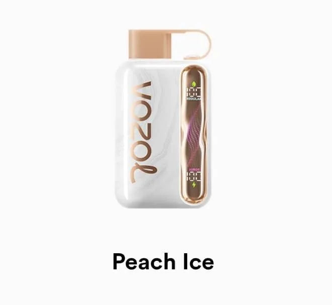 VOZOL Star 40000 Disposable