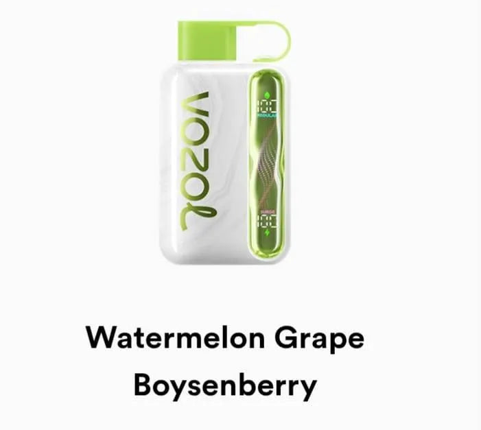 VOZOL Star 40000 Disposable